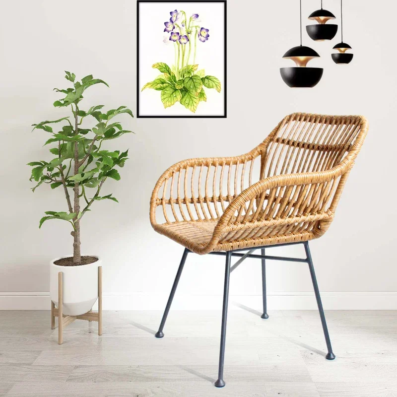 Nordic Dining Chairs for Kitch - Outdoor Furniture Metal Chairs 评论和价格