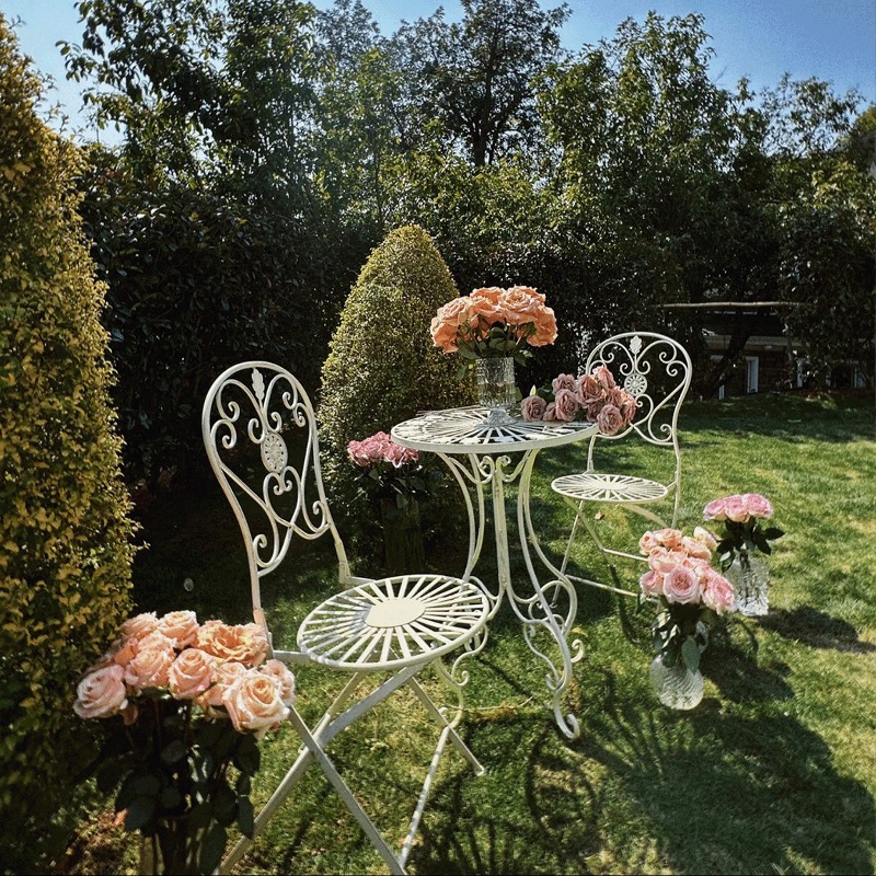 French Vintage Iron Table and  - Outdoor Furniture Metal Chairs 评论和价格